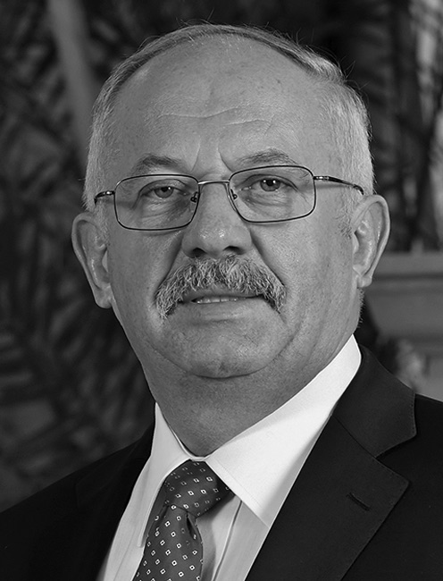 Stokłosa Henryk Tadeusz