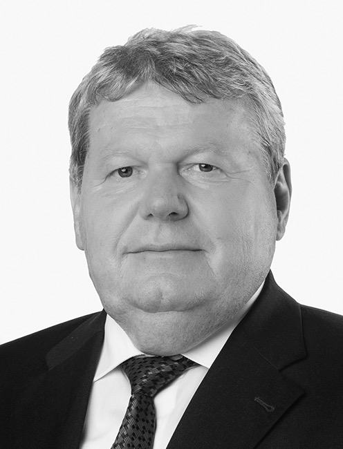Süli János